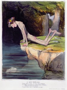 The Beautiful Narcissus, karikatyr graverad av d